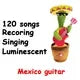 Cactus Dansant et Parlant – Jouet Interactif Musical