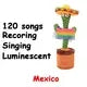 Cactus Dansant et Parlant – Jouet Interactif Musical