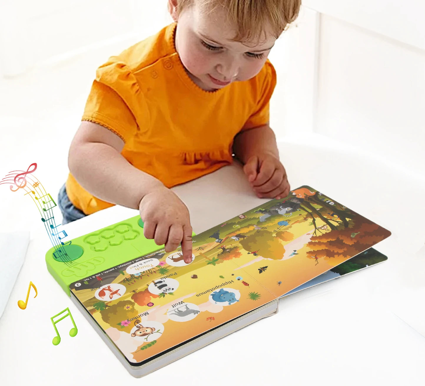Livre Électronique Interactif pour Enfants ( en Anglais)